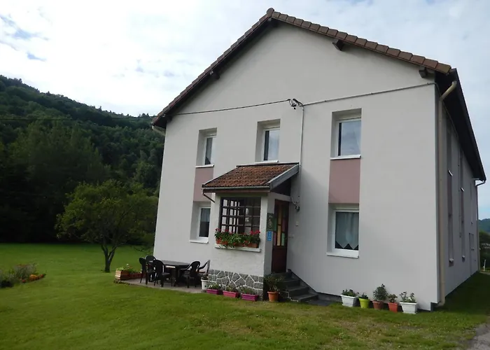 En Pleine Nature, Proche De La Bresse Avec Activites Familiales, Terrasse Et Poele A Bois - Fr-1-589-70