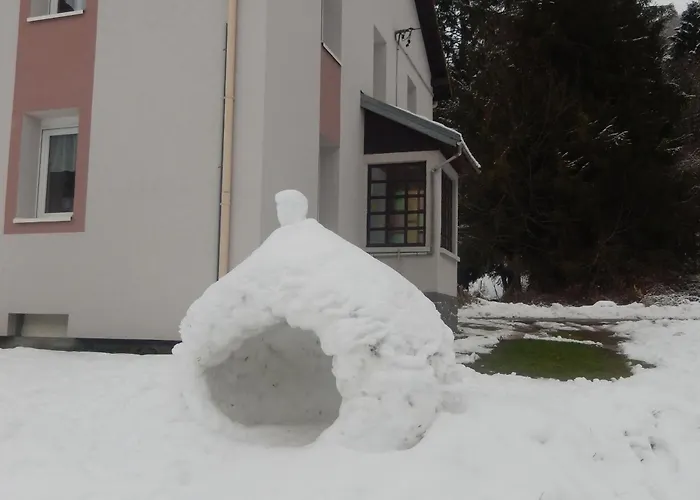 Prázdninový dům En Pleine Nature, Proche De La Bresse Avec Activites Familiales, Terrasse Et Poele A Bois - Fr-1-589-70